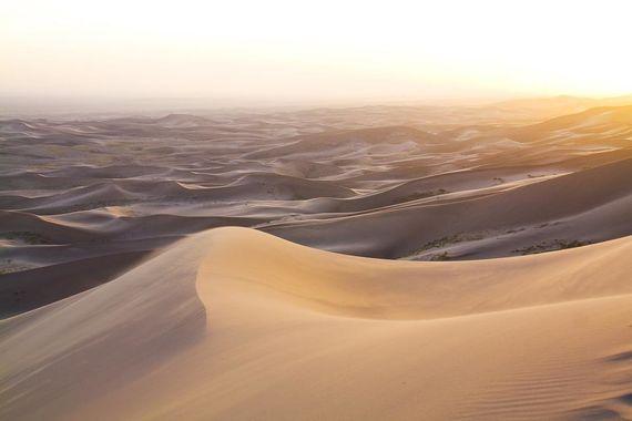 Gobi woestijn - desert - Mongolie