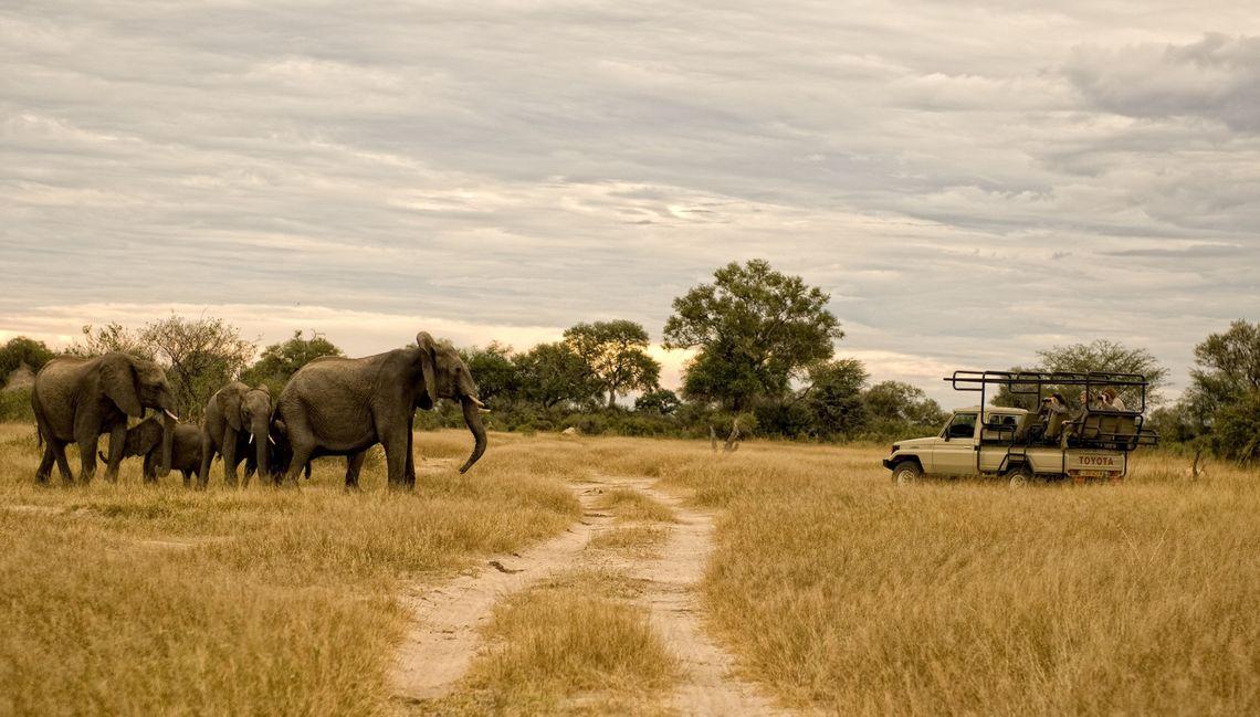 Olifanten Safari Zimbabwe