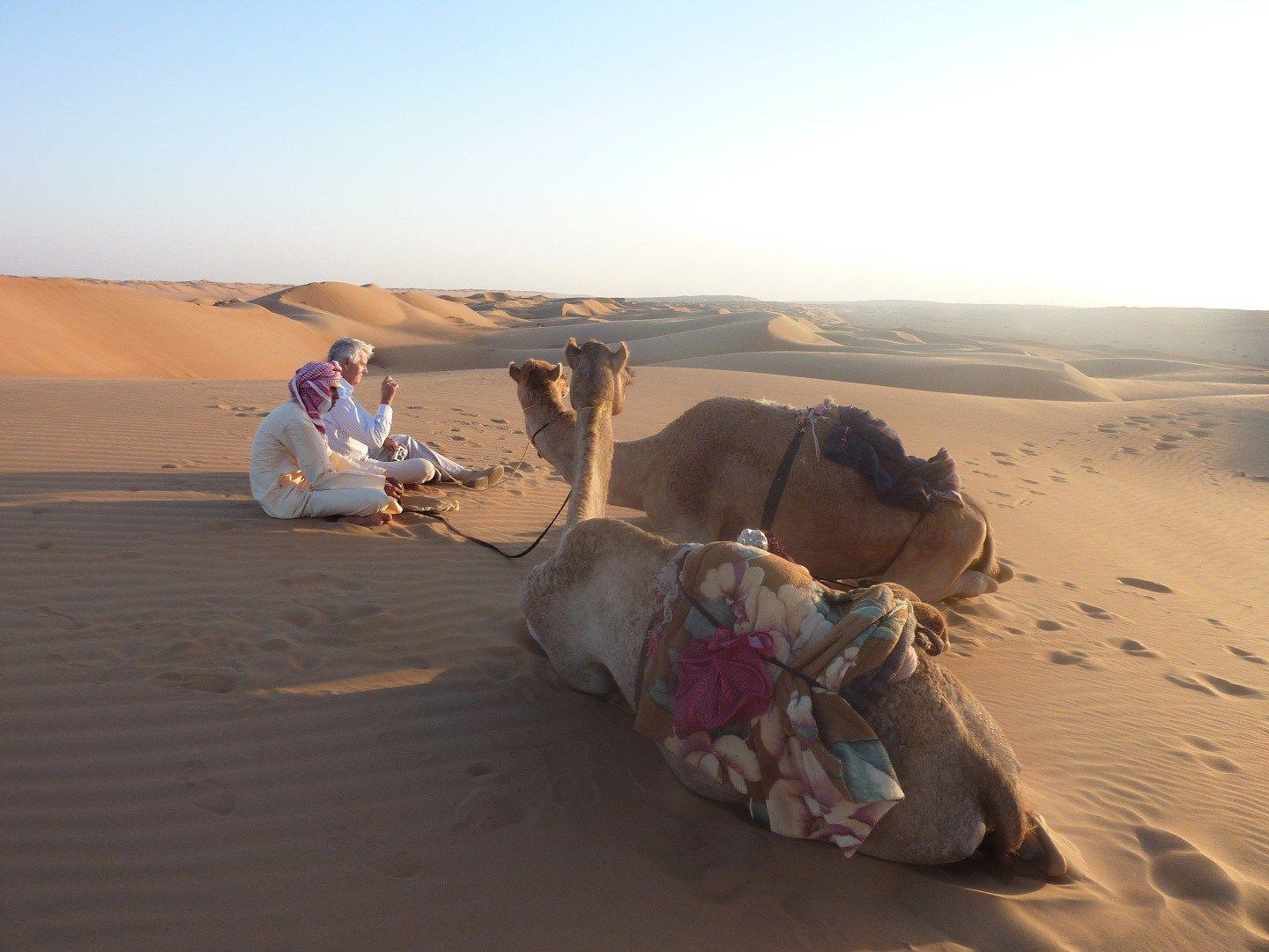 Oman woestijn kameel