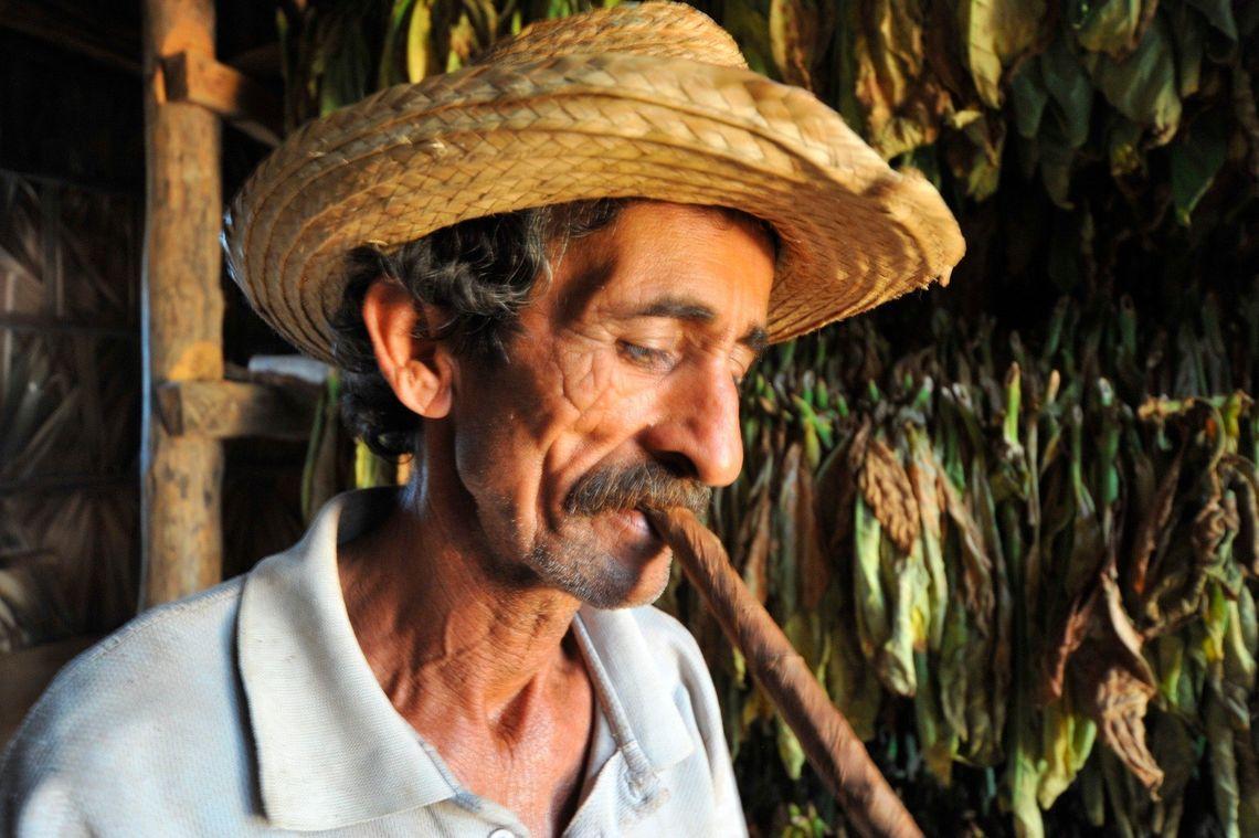 Tabak - Cuba - Vinales - Tour - Carribean