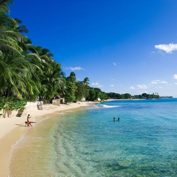 Reeds Bay Beach - Barbados - Palmbomen - Strand - Zee