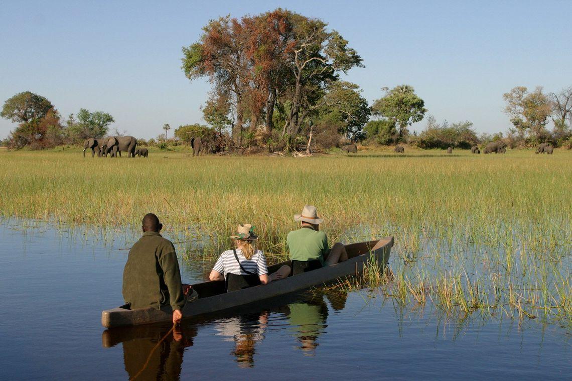 Mokoro Trip Okavango Delta Botswana