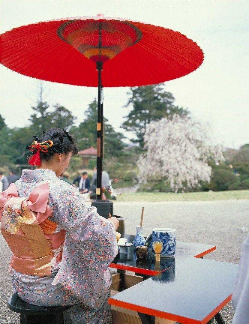 Japan Traditionele Theeceremonie