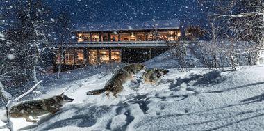 Noors Lapland - Wolf Lodge - Buitenkant - Sneeuw