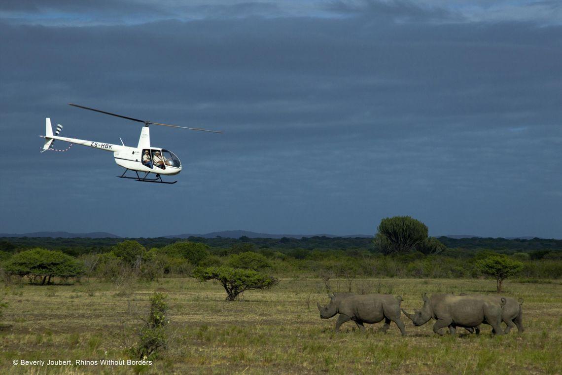 Helikopter | Botswana | Neushoorn