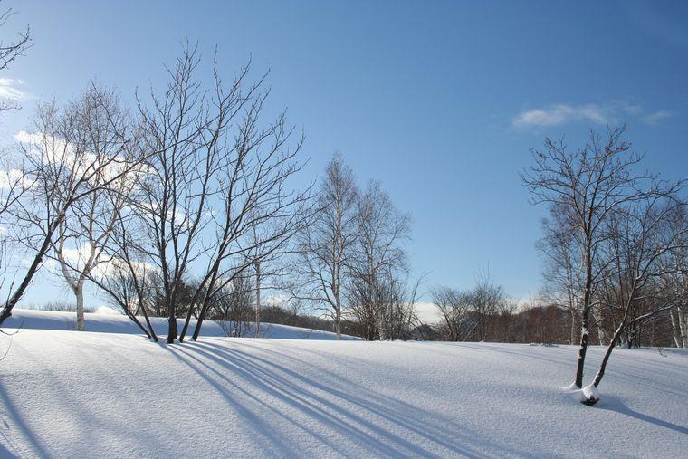 Hokkaido - Sneeuw - Winter - Japan