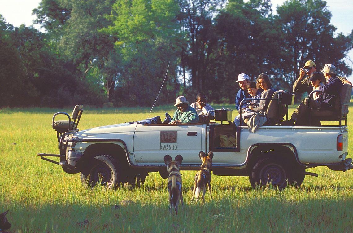 Jeepsafari - Jeep - Wilde honden - Namibië