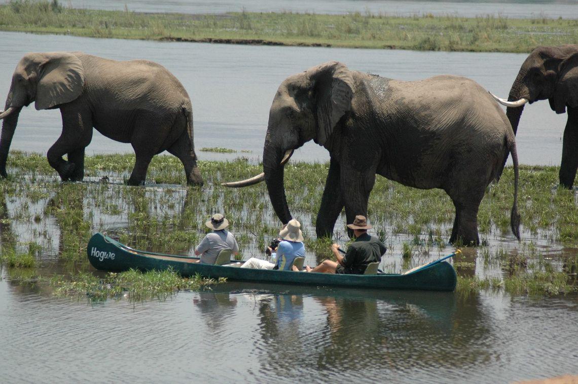 Kanosafari Zimbabwe Mana Pools