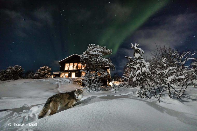 Polarpark - Lapland
