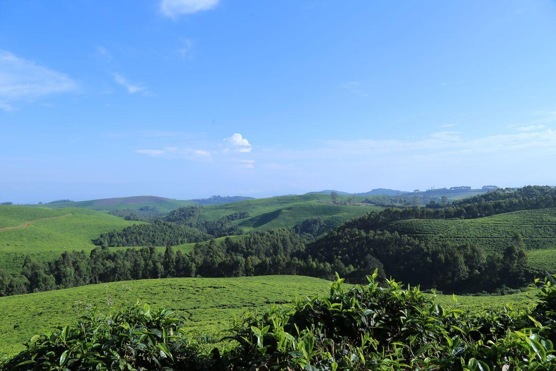 Rwanda landschap