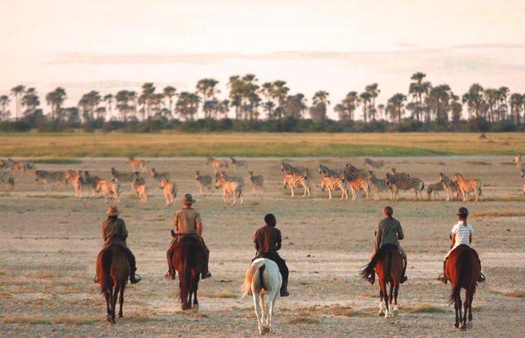Botswana - Afrika - Paardrijden