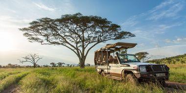 Roving Bushtops Camp - Tanzania - Jeep - Safari