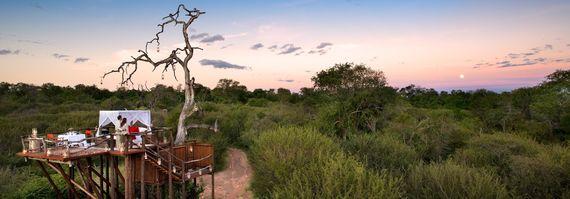 Lion Sands Treesleepout Zuid-Afrika