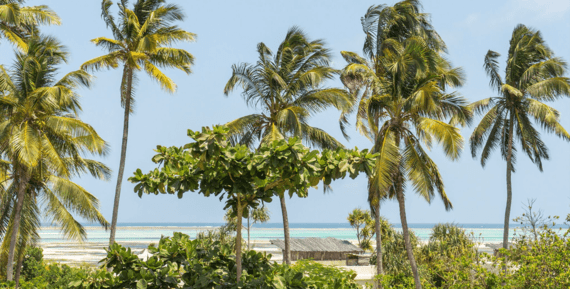 White Sand Luxury Villa's & Spa - Zanzibar - View