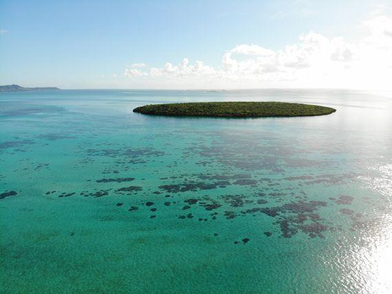 Indian Ocean Island Ile Aux Aigrettes Mauritius